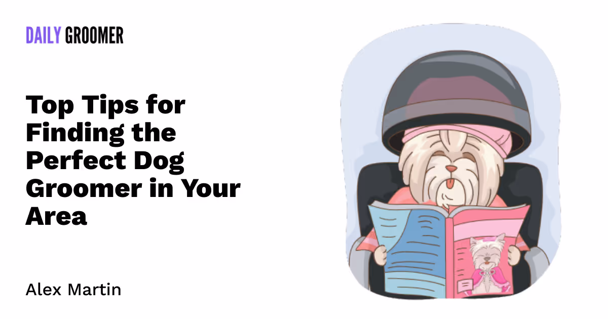 Snip & Clip: Top Tips for Finding the Perfect Dog Groomer in Your Area