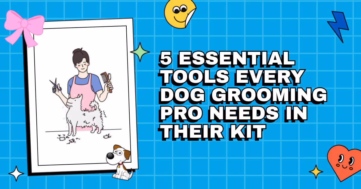Paws and Bubbles: 5 Essential Tools Every Dog Grooming Pro Needs in Their Kit