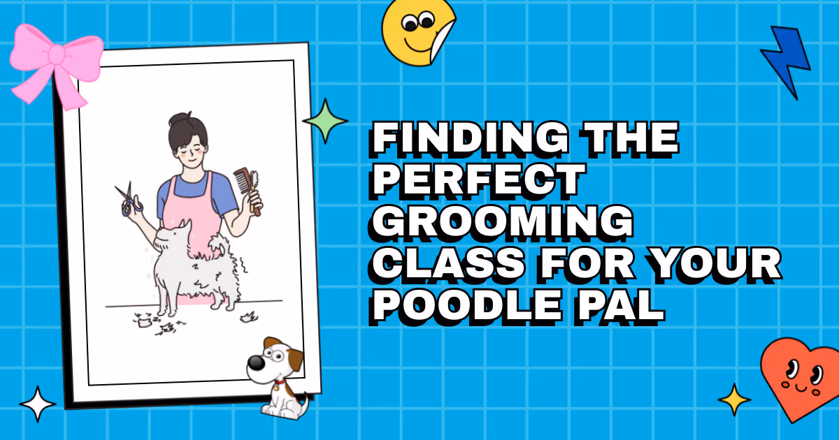 Curls and Coiffures: Finding the Perfect Grooming Class for Your Poodle Pal