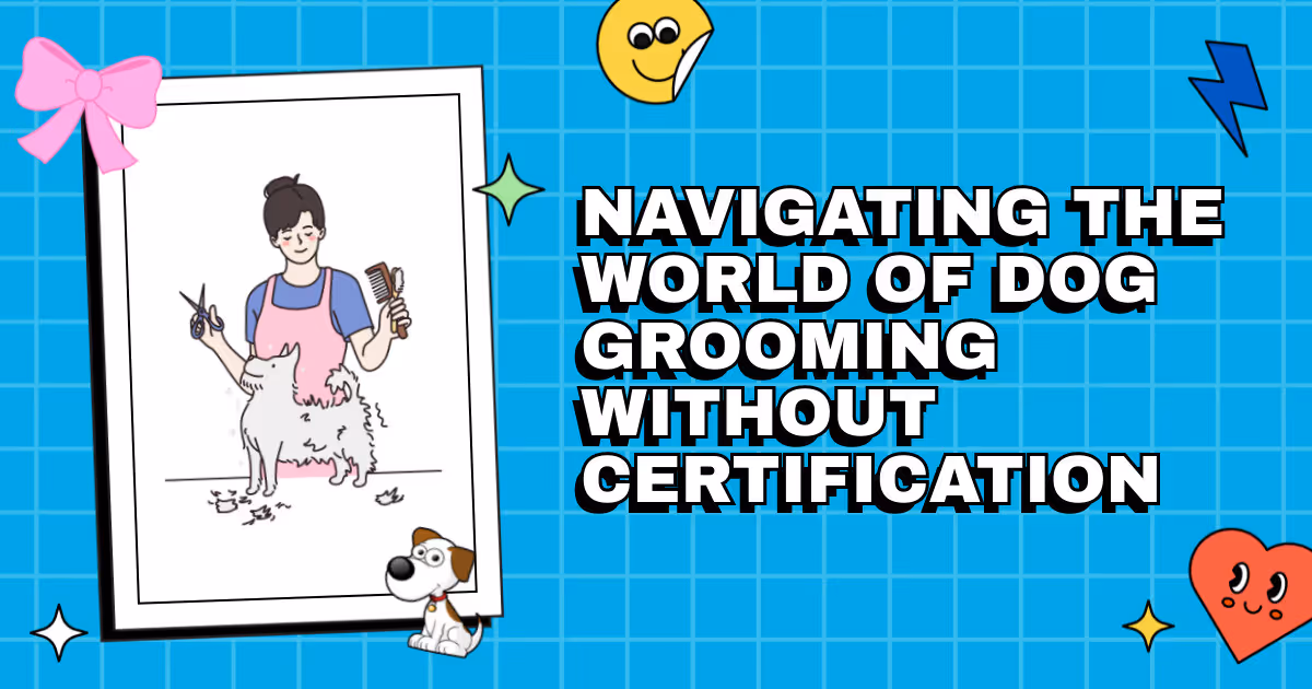 The Great Debate: Navigating the World of Dog Grooming Without Certification