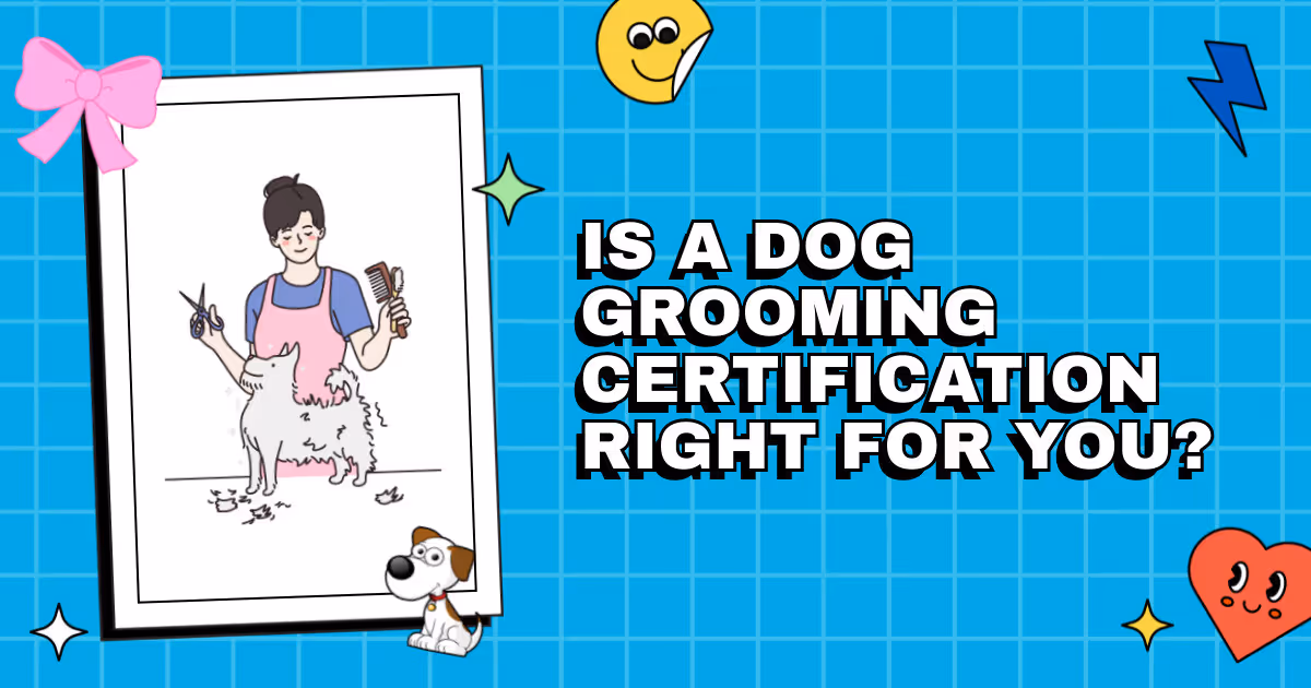 Snip and Clip with Confidence: Is a Dog Grooming Certification Right for You?