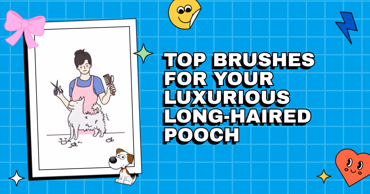 Taming the Tangles: Top Brushes for Your Luxurious Long-Haired Pooch