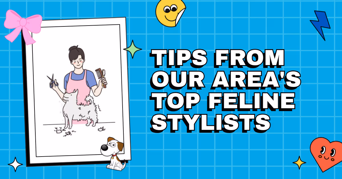 The Inside Scoop on Cat Grooming: Tips from Our Area's Top Feline Stylists