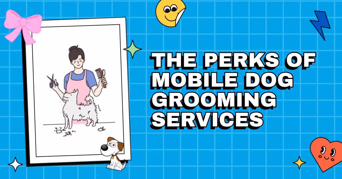 From Furry to Fabulous: The Perks of Mobile Dog Grooming Services