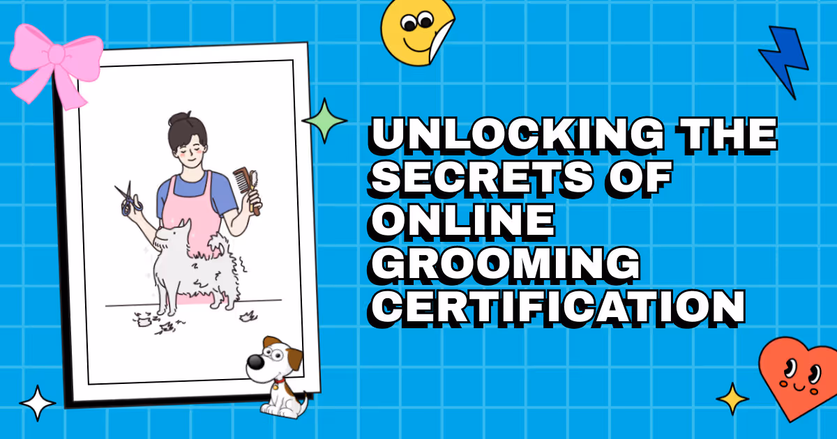 From Novice to Know-It-All: Unlocking the Secrets of Online Grooming Certification