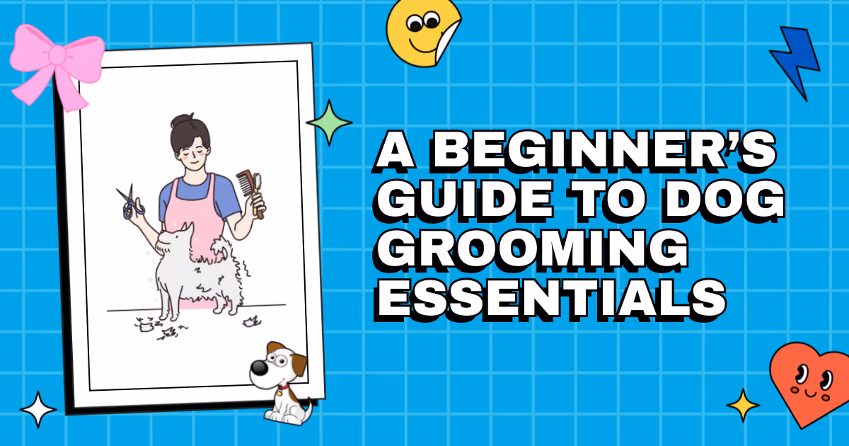 Snip & Clip 101: A Beginner’s Guide to Dog Grooming Essentials