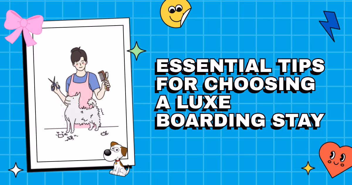 Pampering Your Poodle: Essential Tips for Choosing a Luxe Boarding Stay