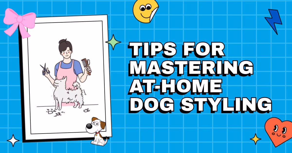 Pooch Preening Perfection: Tips for Mastering At-Home Dog Styling