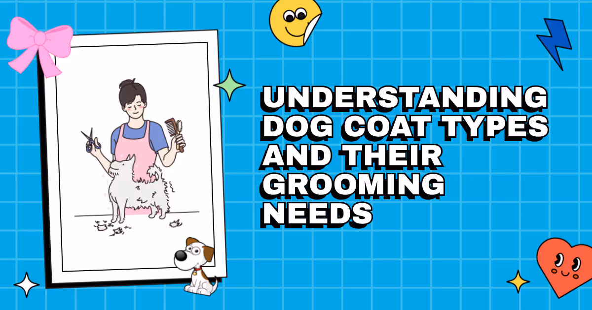 Fur's the Charm: Understanding Dog Coat Types and Their Grooming Needs