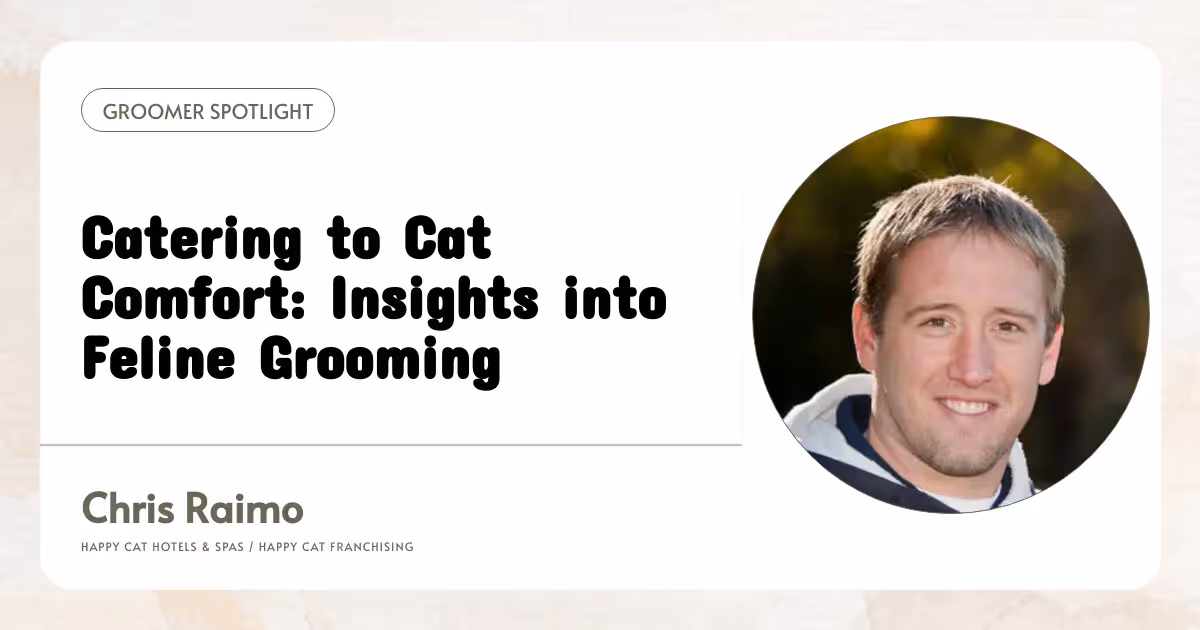 Catering to Cat Comfort: Insights into Feline Grooming