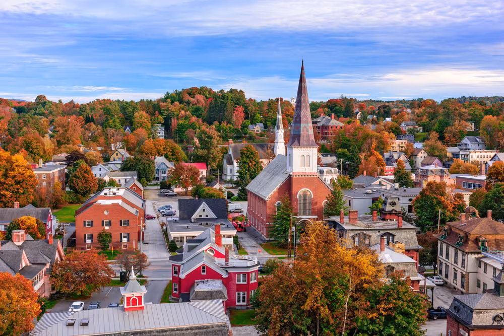 Best Pet Groomers in Vermont