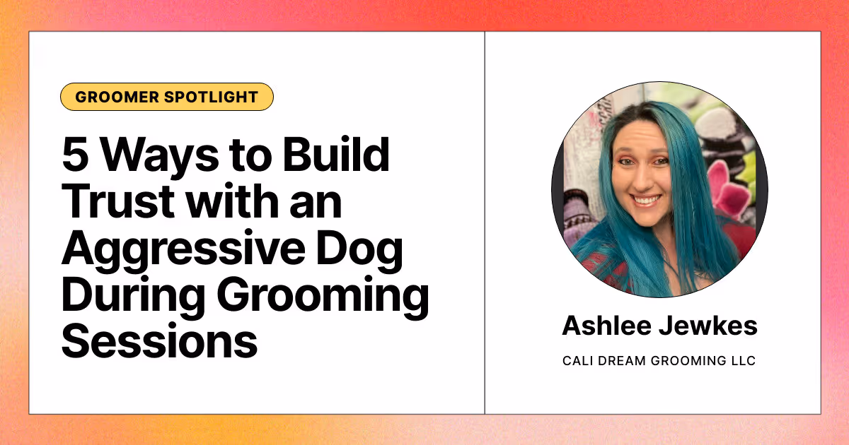 5 Ways to Build Trust with an Aggressive Dog During Grooming Sessions