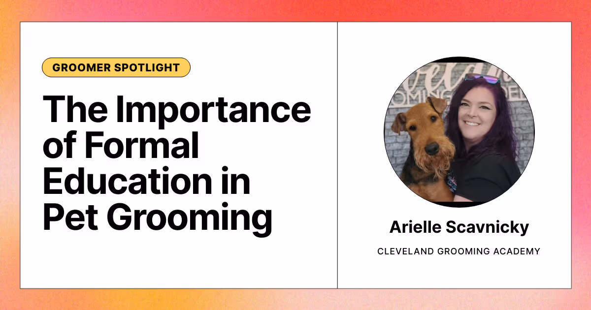 The Importance of Formal Education in Pet Grooming