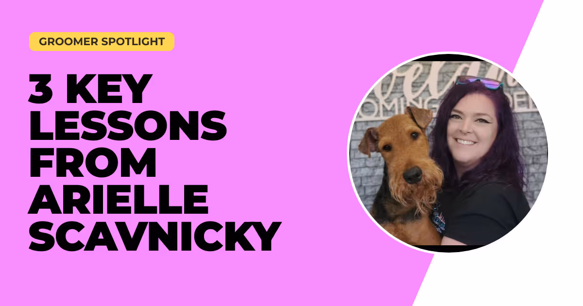 3 Key Lessons from Arielle Scavnicky