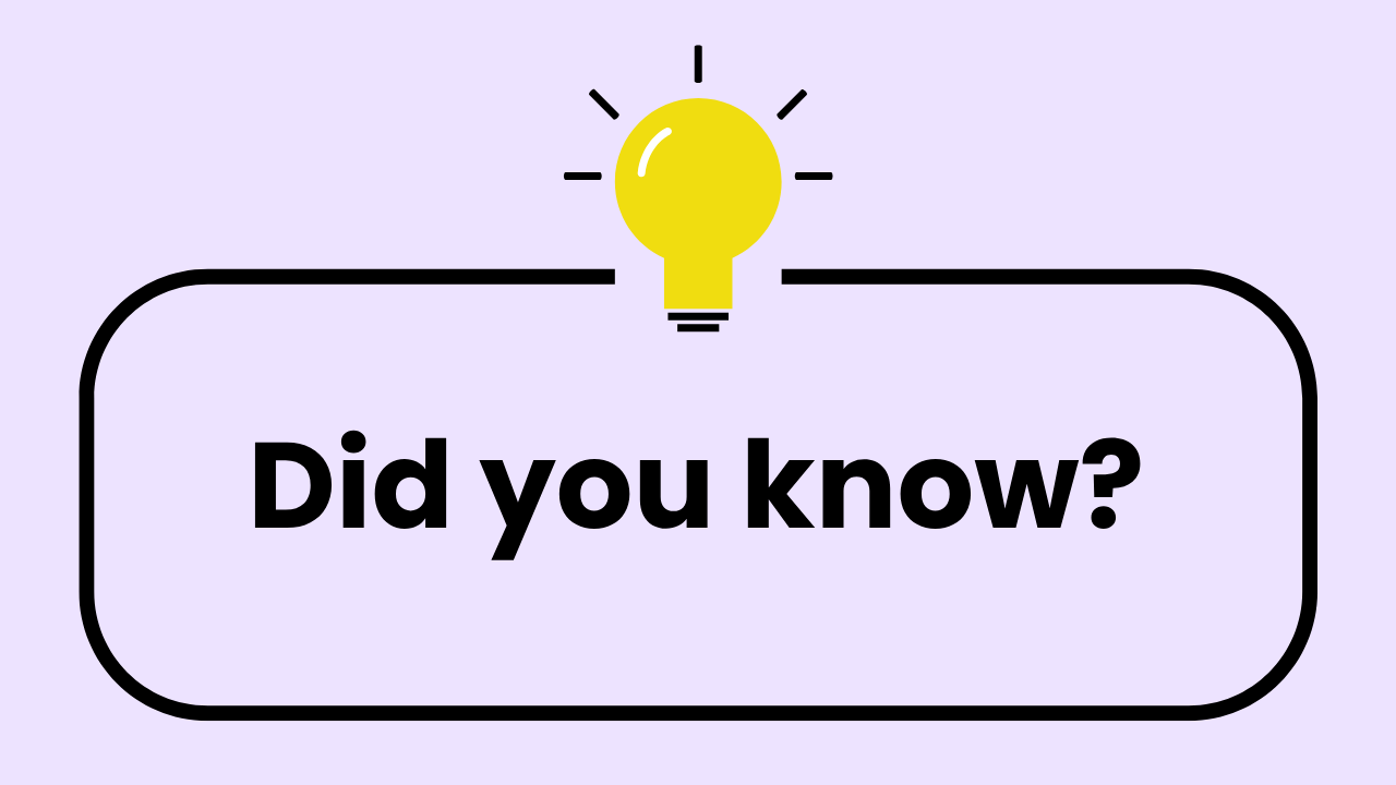 What I Wish I Knew Before Opening My Grooming Salon