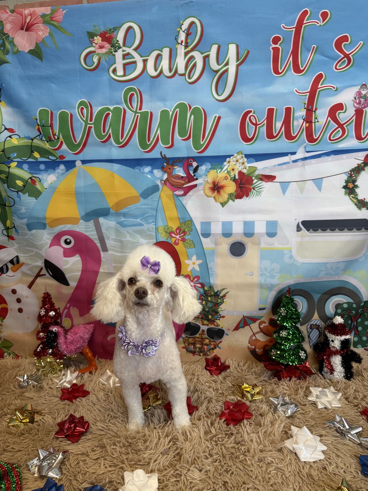 Pooch Parlor NY