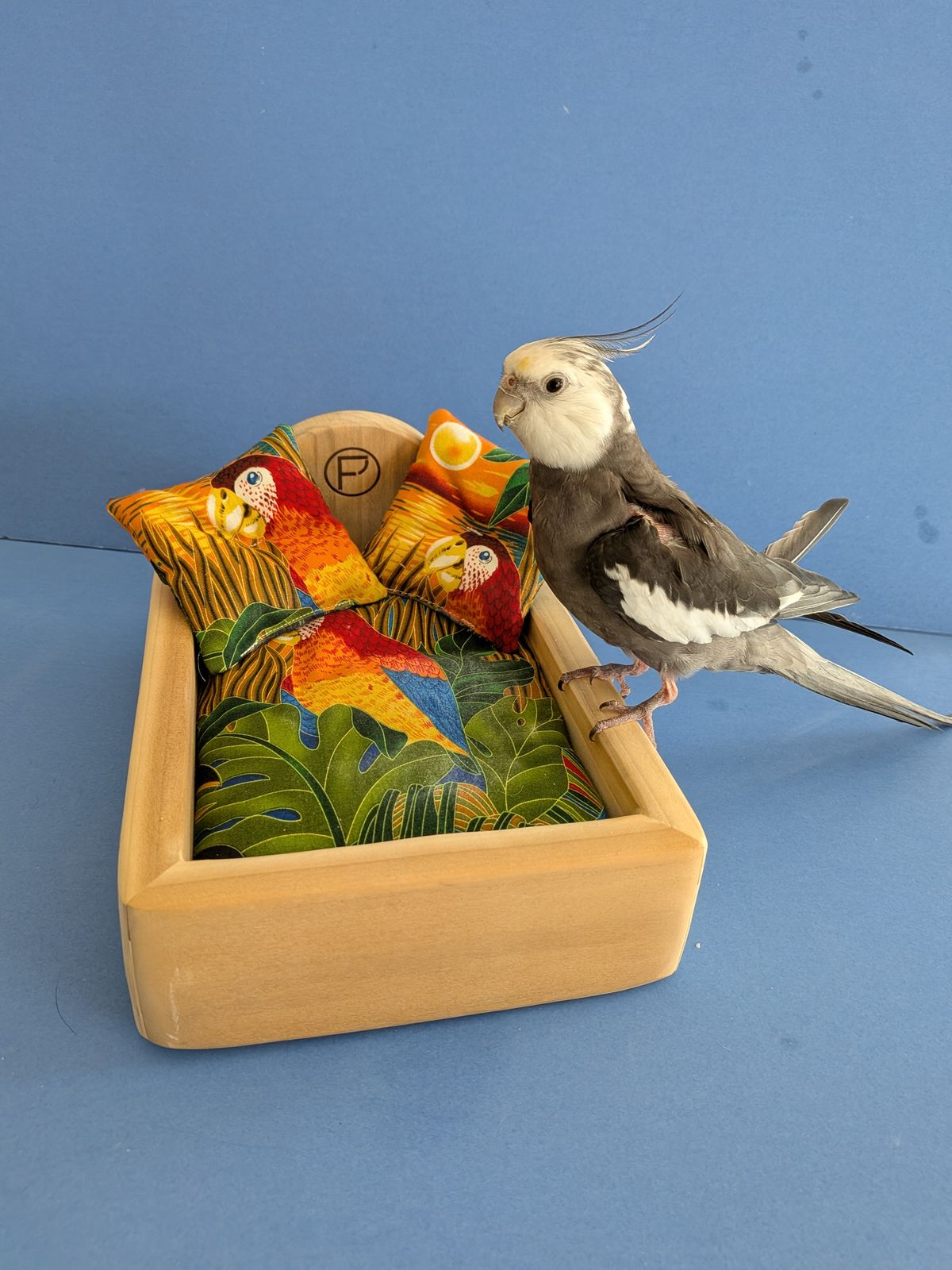 Mobile Bird Grooming
