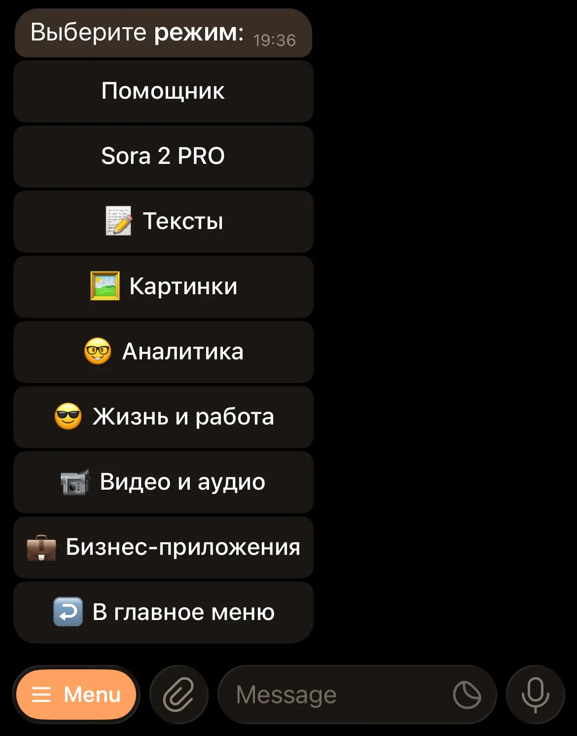 Это меню содержит в себе все режимы LeoGPT. Дальше только креатив.