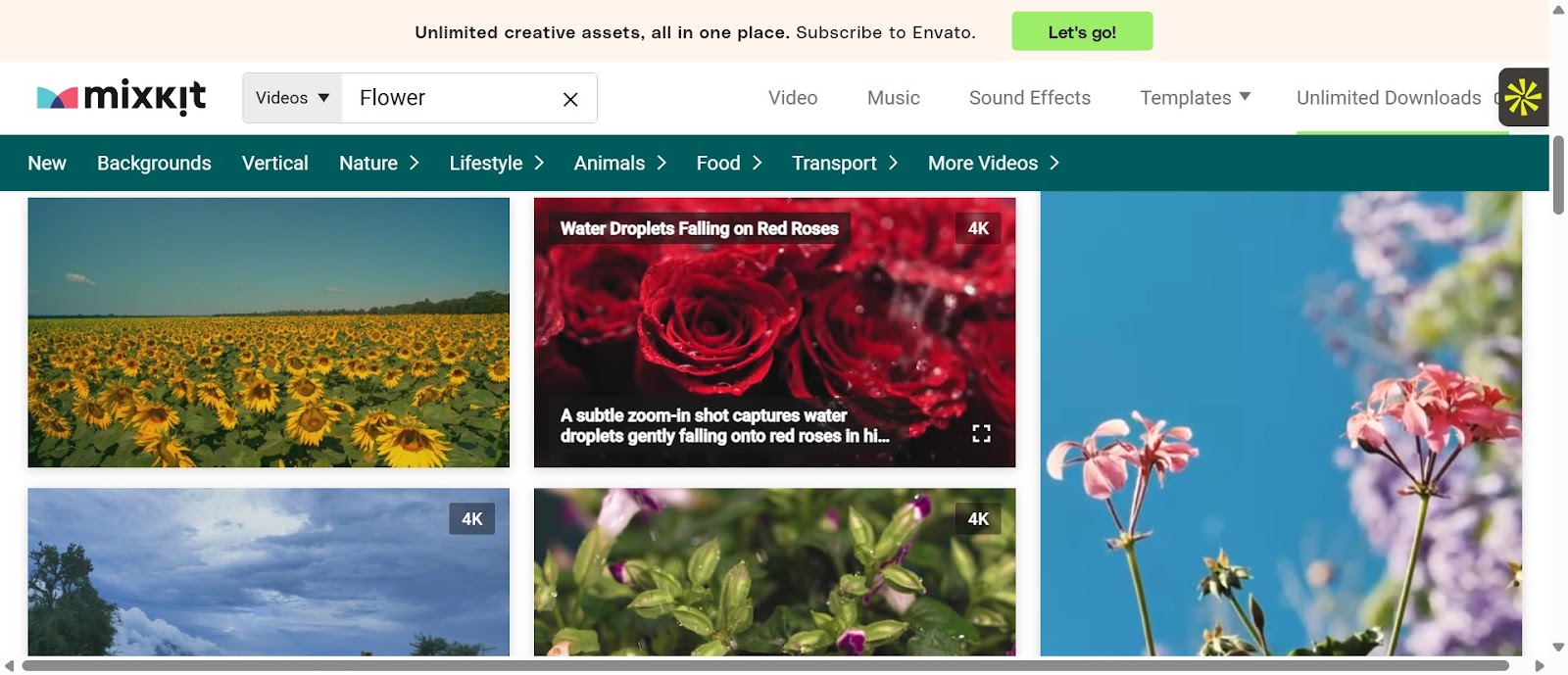 Transform Your Content Creation Today with Mixkit's Free Resources