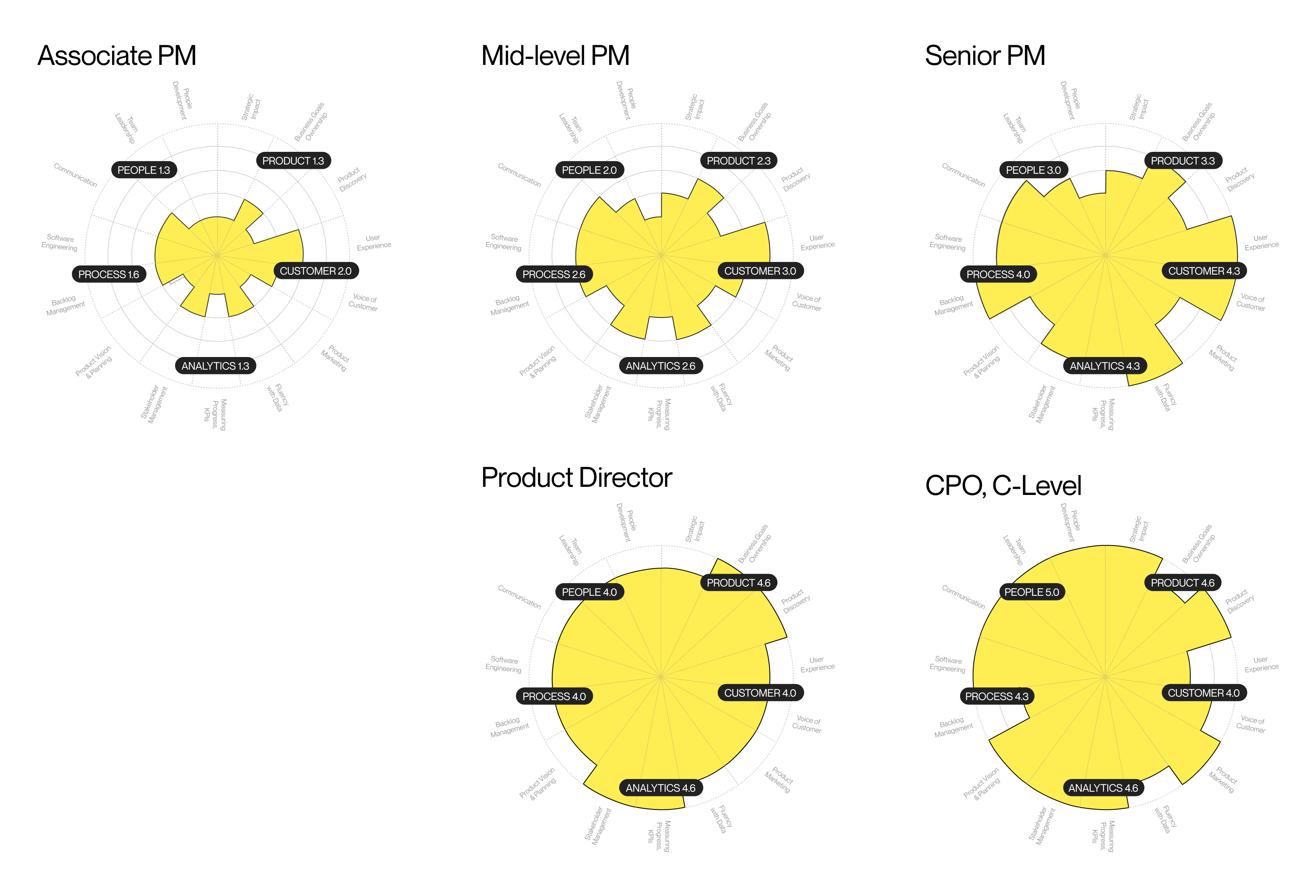 PM Career Ladder and Product Management Grades