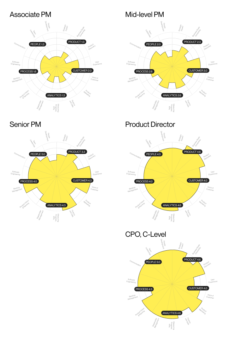 PM Career Ladder and Product Management Grades