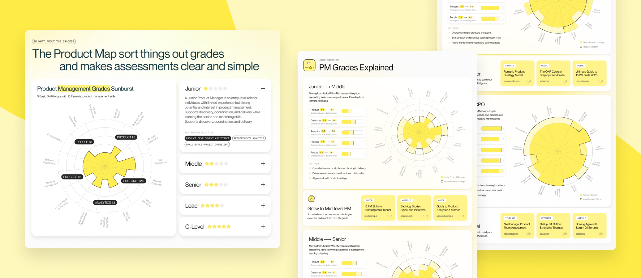 Product Management Grades and Career Ladder Guide