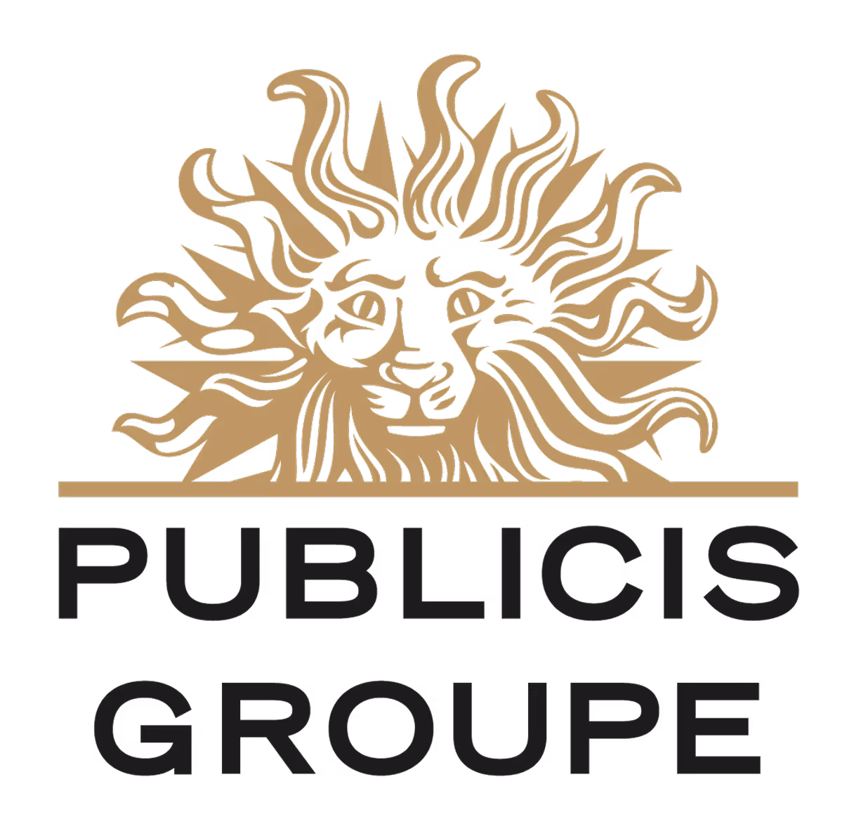 Publicis Groupe logo