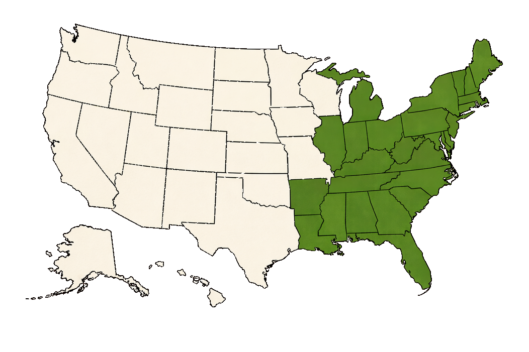 Available Franchising Markets