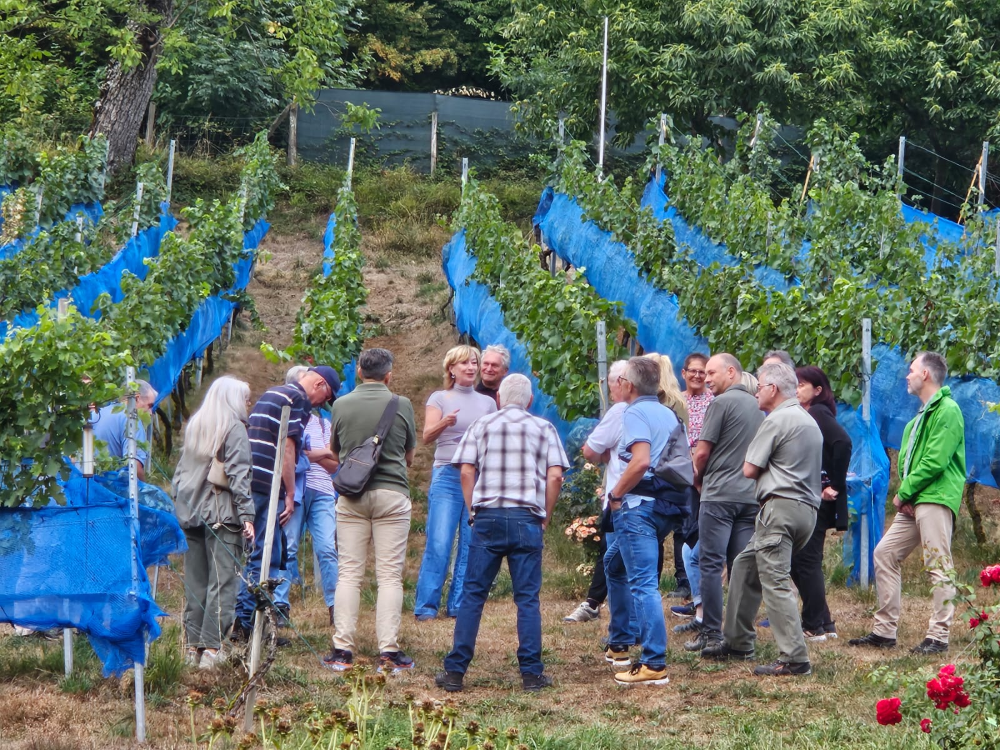 Politik trifft Winzerhandwerk