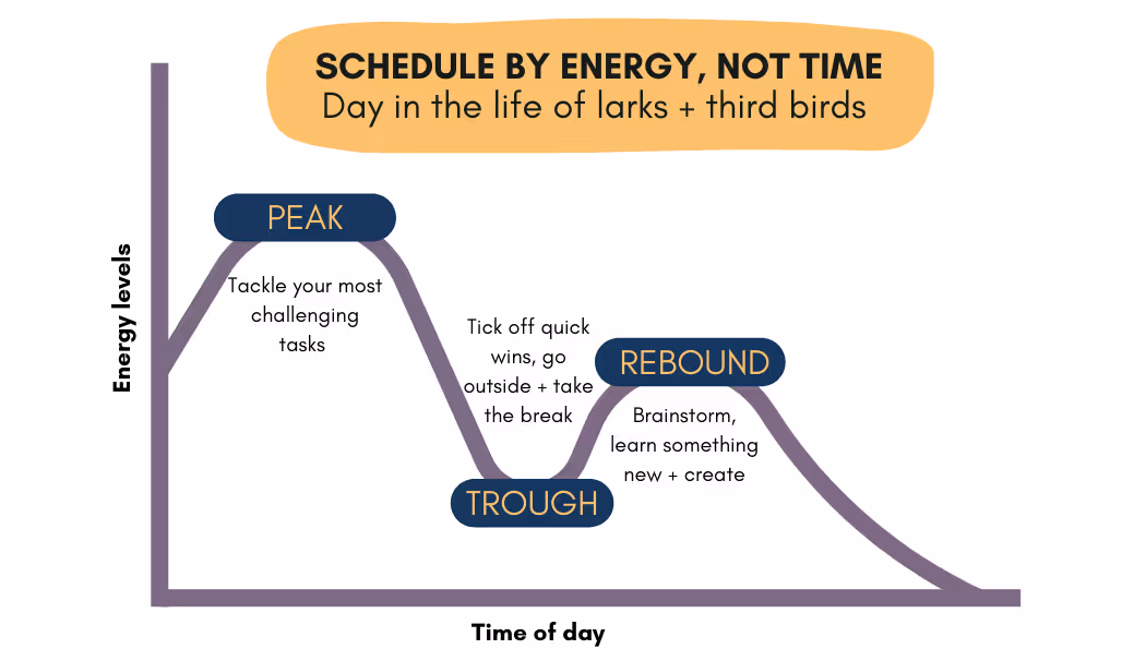 energy levels during a day
