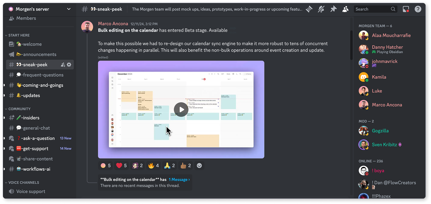Screenshot von Morgens Discord-Server