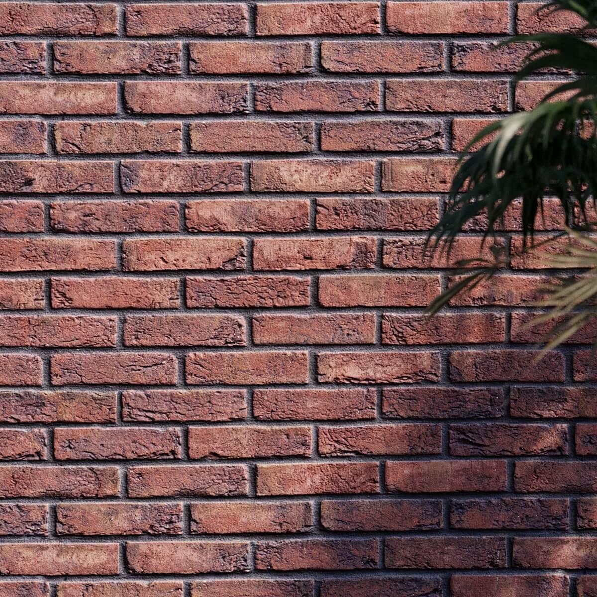 WIENERBERGER TERCA-MENTON