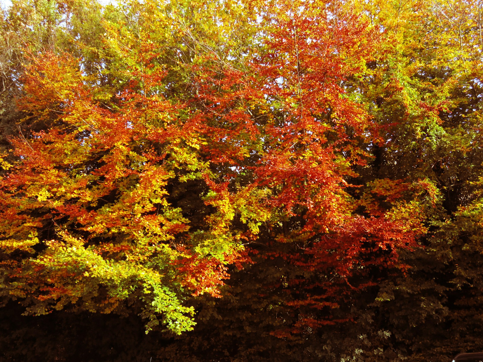 8 Peak Walks That Are Even Better in Autumn