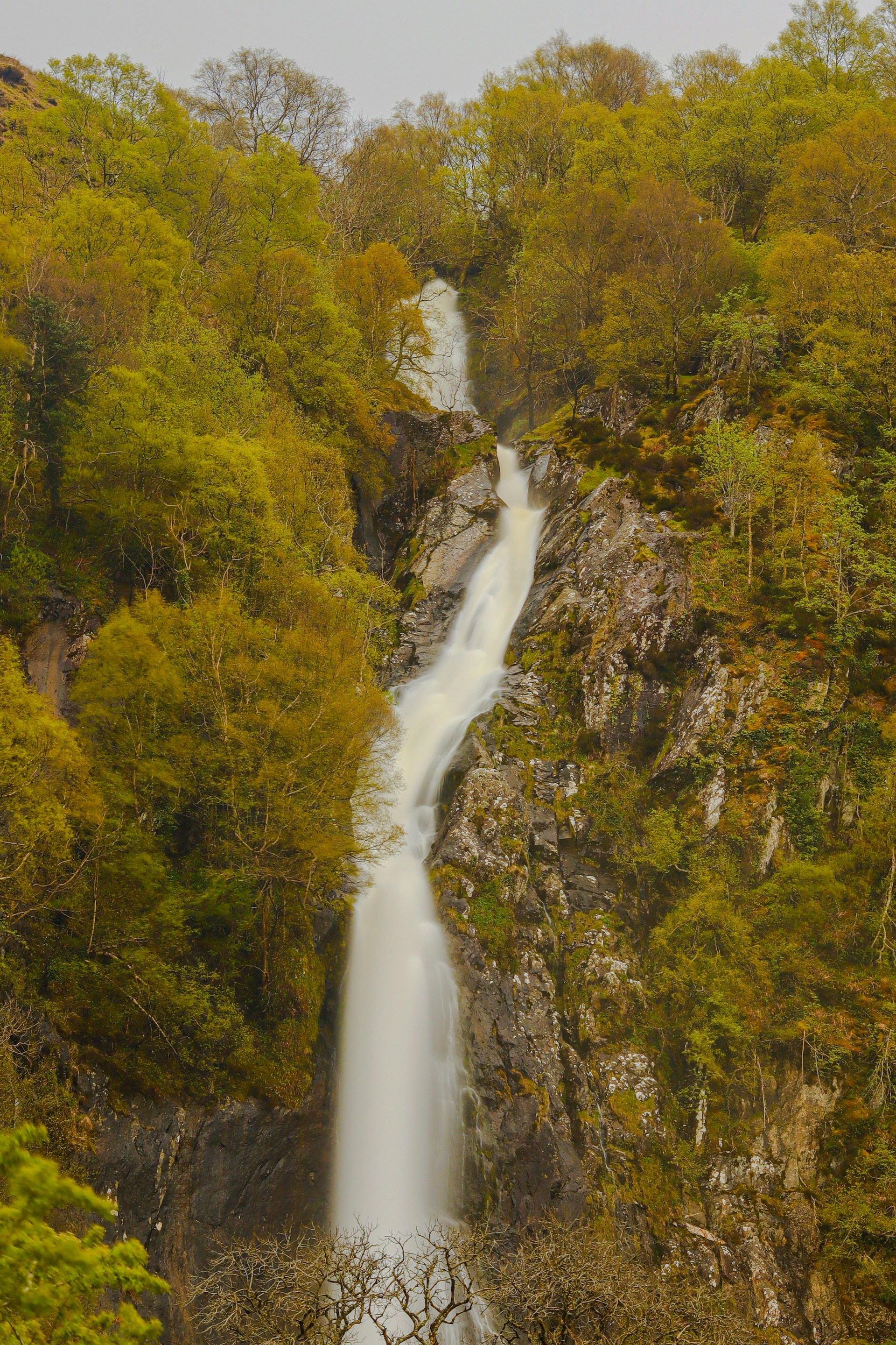 7 Hikes with Woodland and Waterfalls