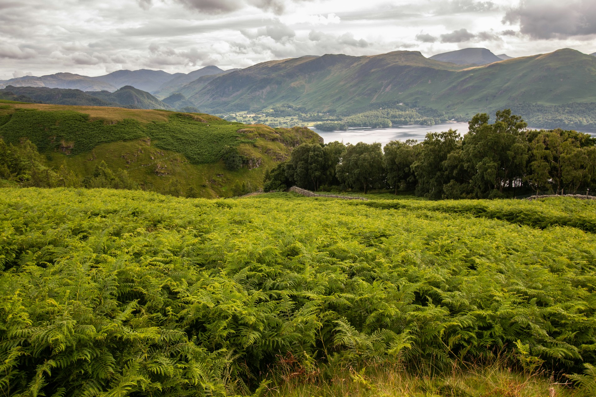 Bag 4 Wainwrights in One Day: The Newlands Round