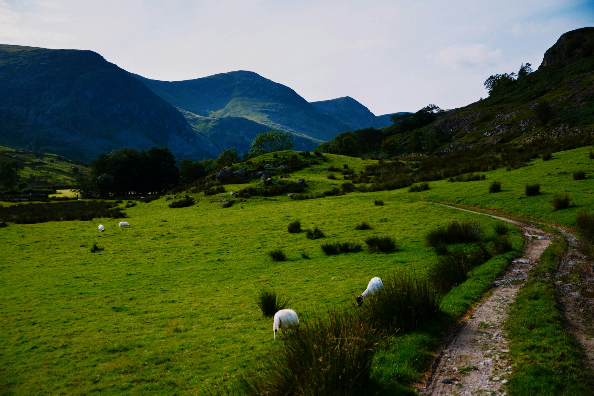 Bag 8 Wainwrights in One Day: The Kentmere Horseshoe