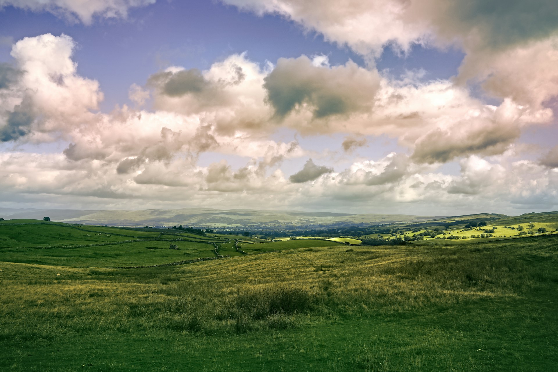 Forest + Fell: Best Mixed Terrain Walks in Cumbria