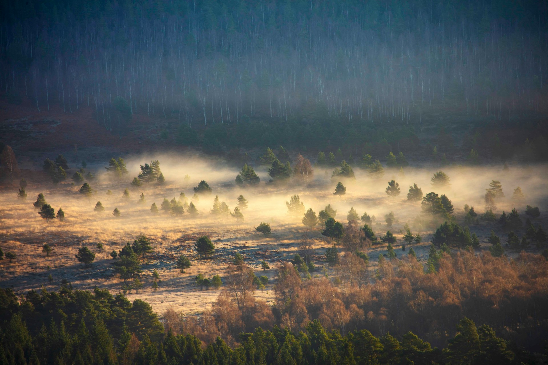 Mount Keen via Glen Tanar: The Easternmost Munro