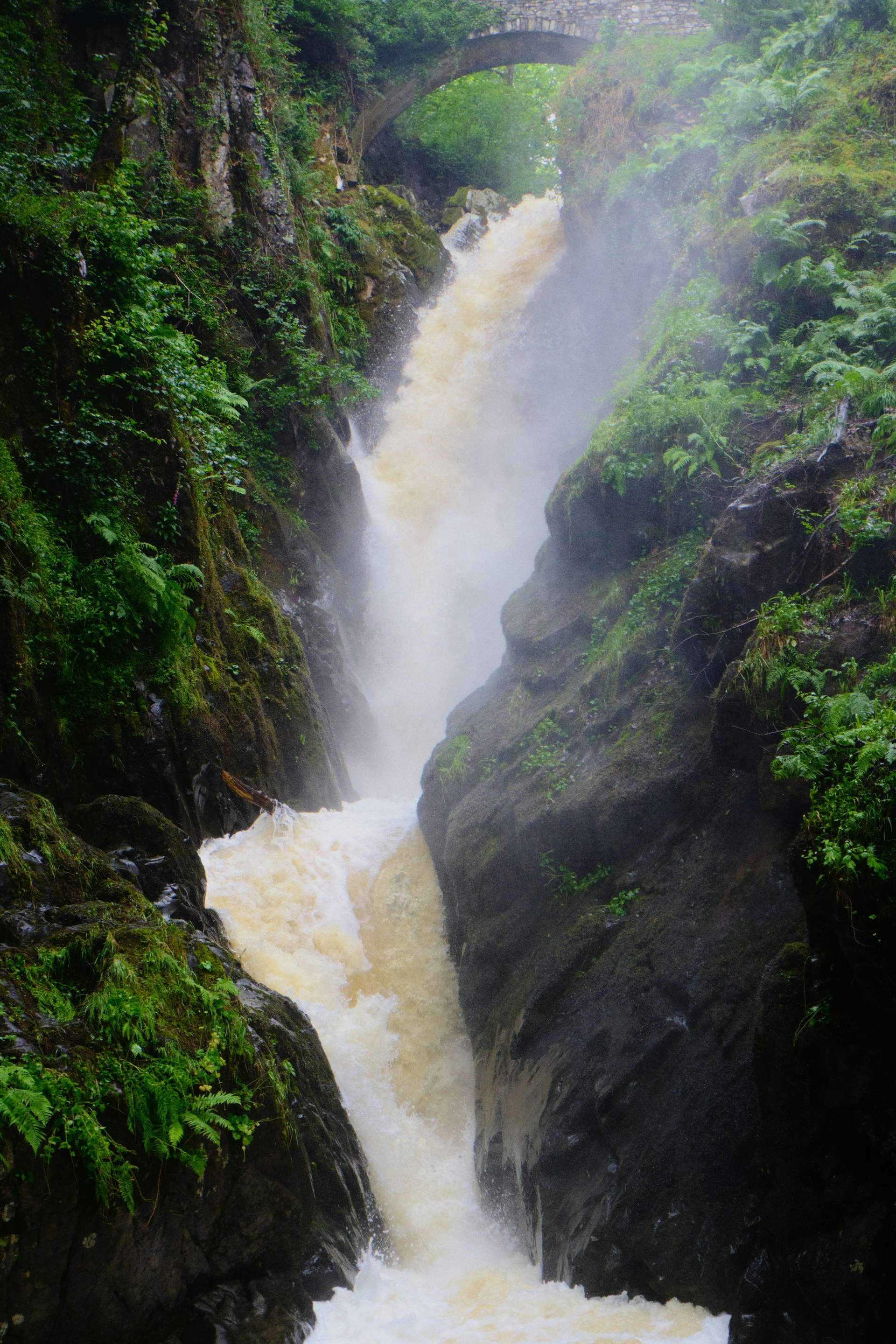 Half-Term Hikes for Families