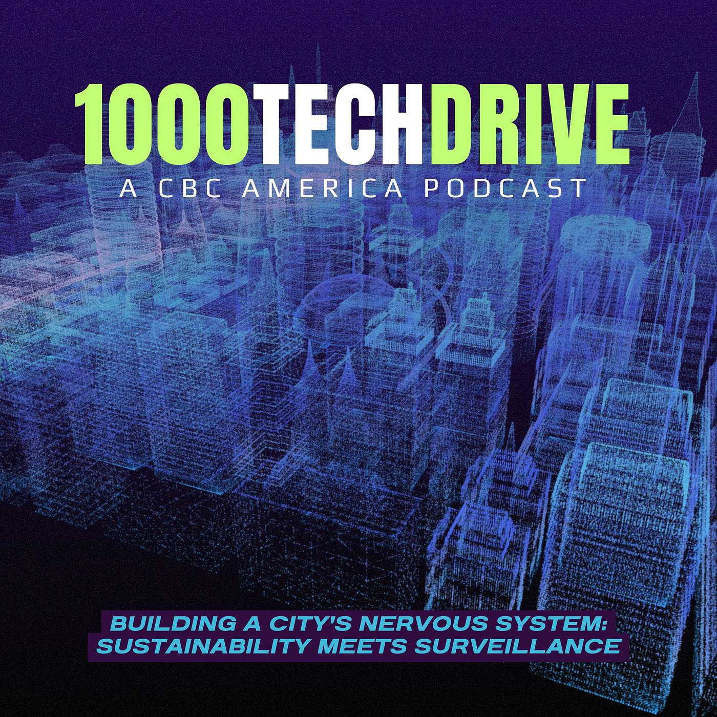 Building a City's Nervous System: Sustainability Meets Surveillance