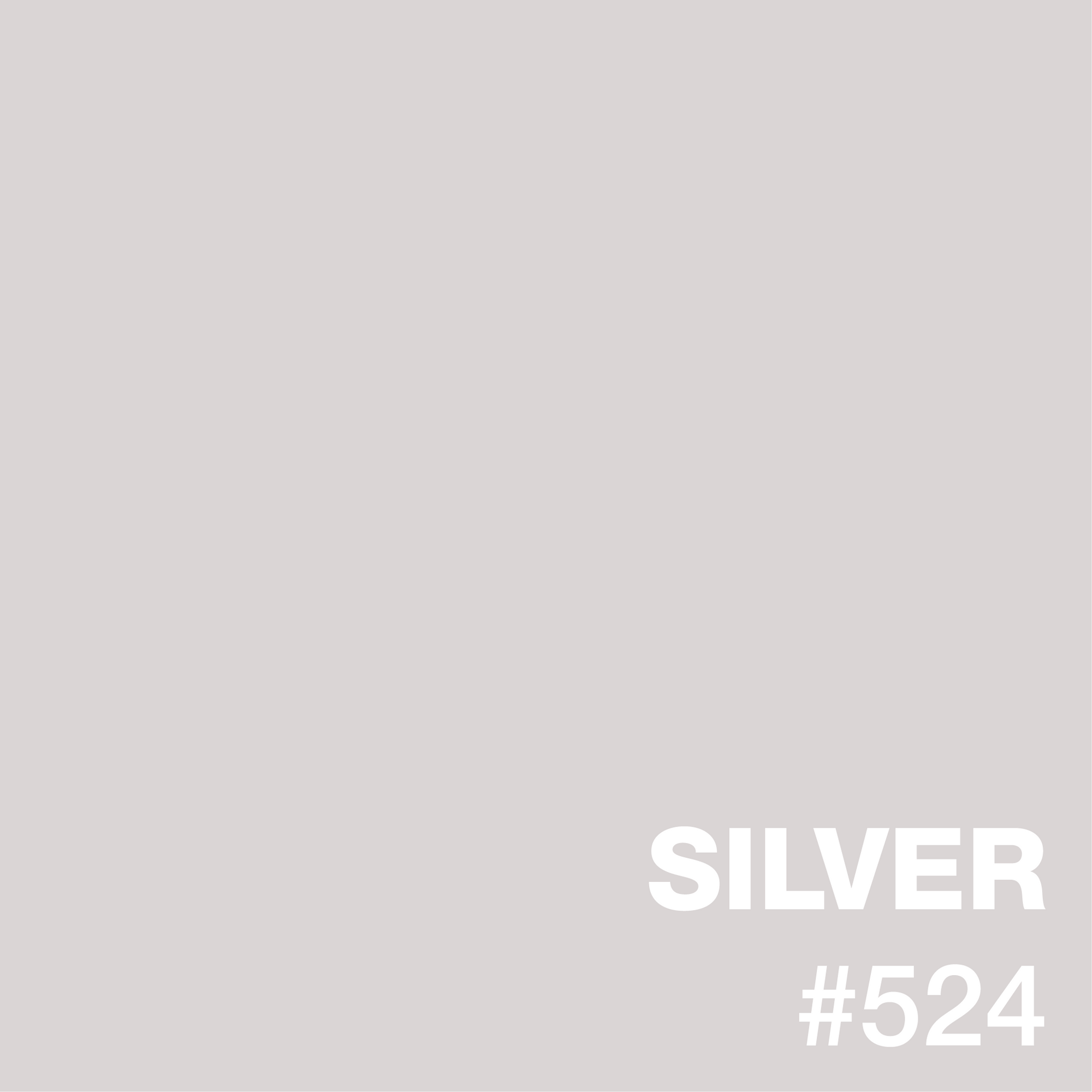 SILVER Standard Epoxy Flooring sample