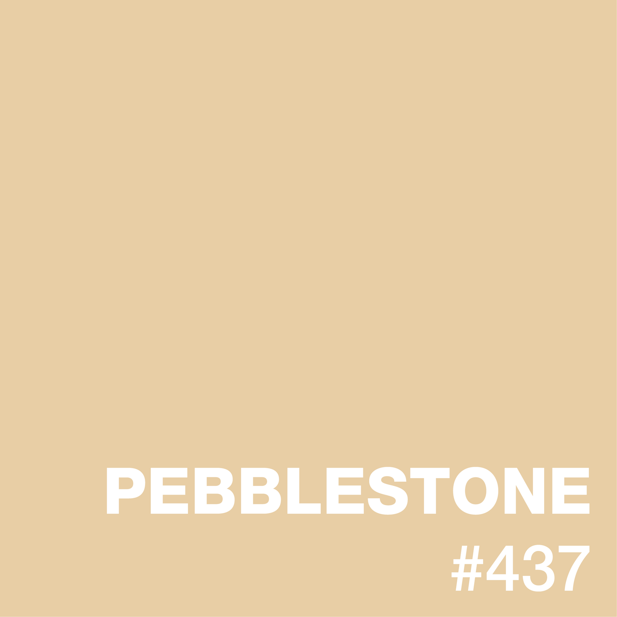 PEBBLESTONE Standard Epoxy Flooring sample