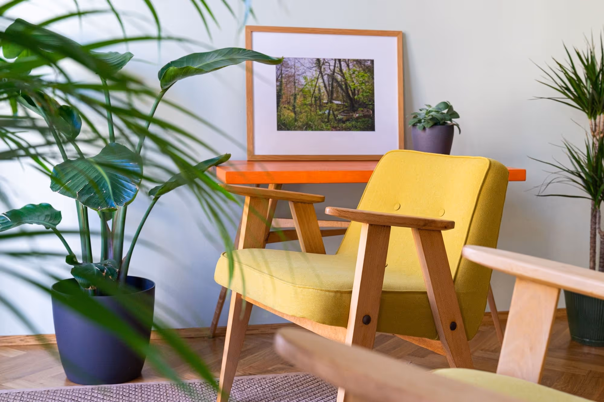 A cozy yellow armchair with a wooden frame in a modern room featuring potted plants and a framed nature scene on the orange table.