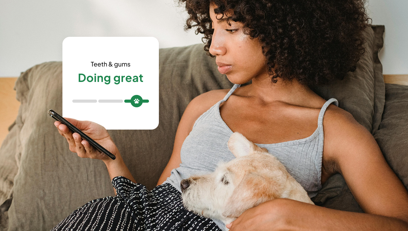 Woman with curly hair sitting on a couch holding a phone with a dog resting on her lap and a digital overlay indicating teeth and gums health status as 'Doing great.'