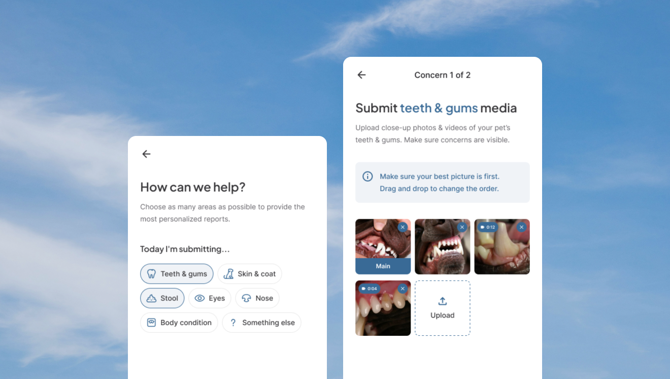 User interface showing options to submit pet health concerns including teeth, gums, stool, eyes, nose, skin, coat, body condition, and an upload screen for teeth and gums media with photos and videos.