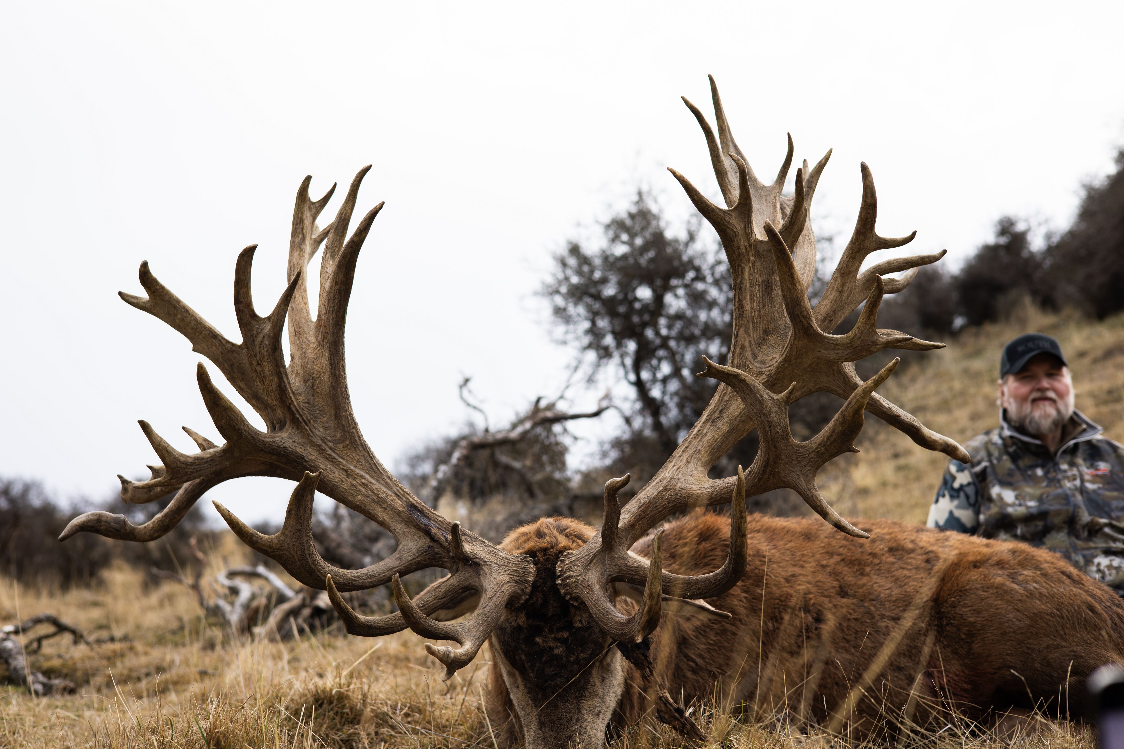 3 - 5 Day Red Stag & Fallow Buck hunts