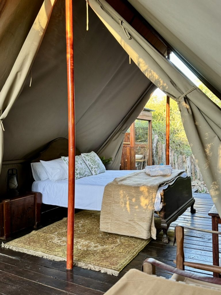 Tent 2, a double bed under canvas with the bush beyond