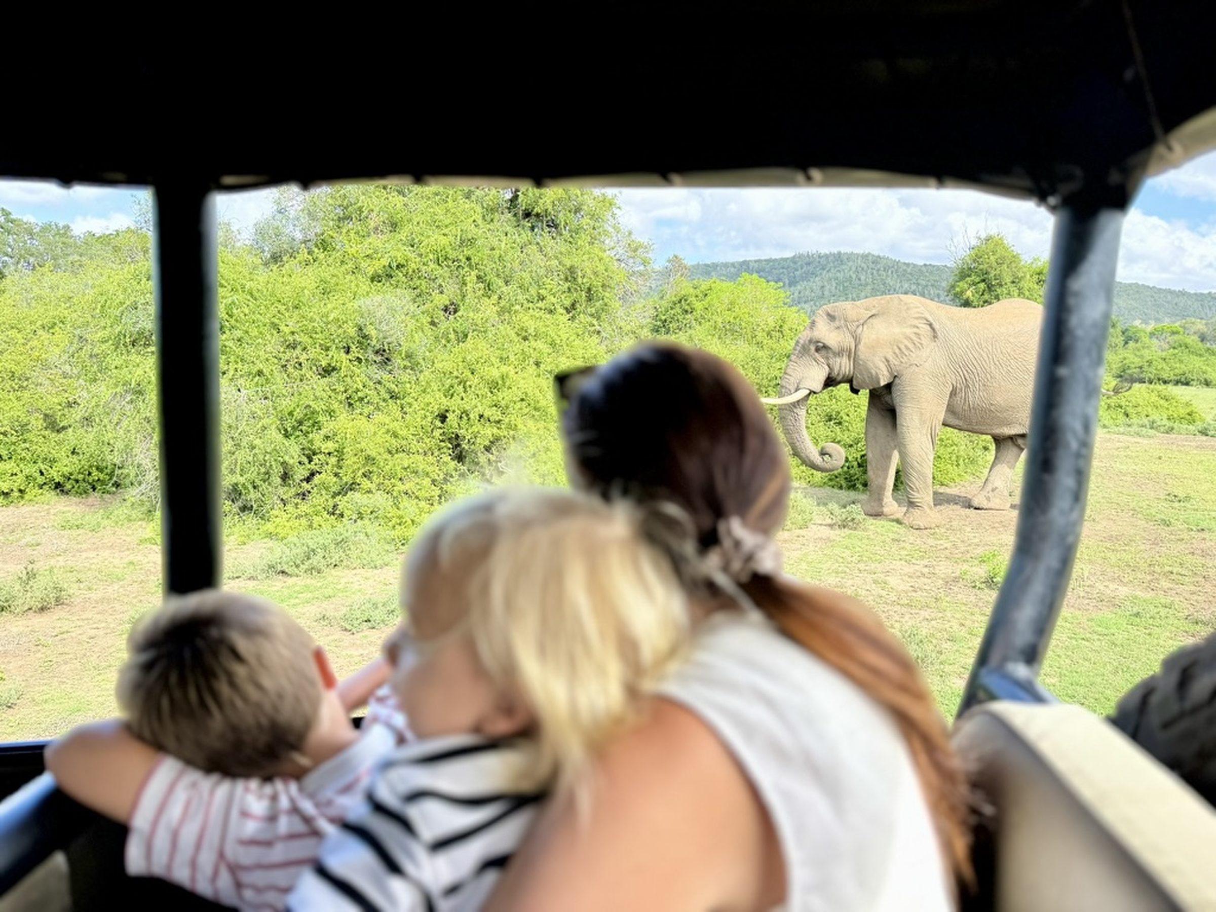 A family on an open game-drive vehicle watching an elephant bull in the bush