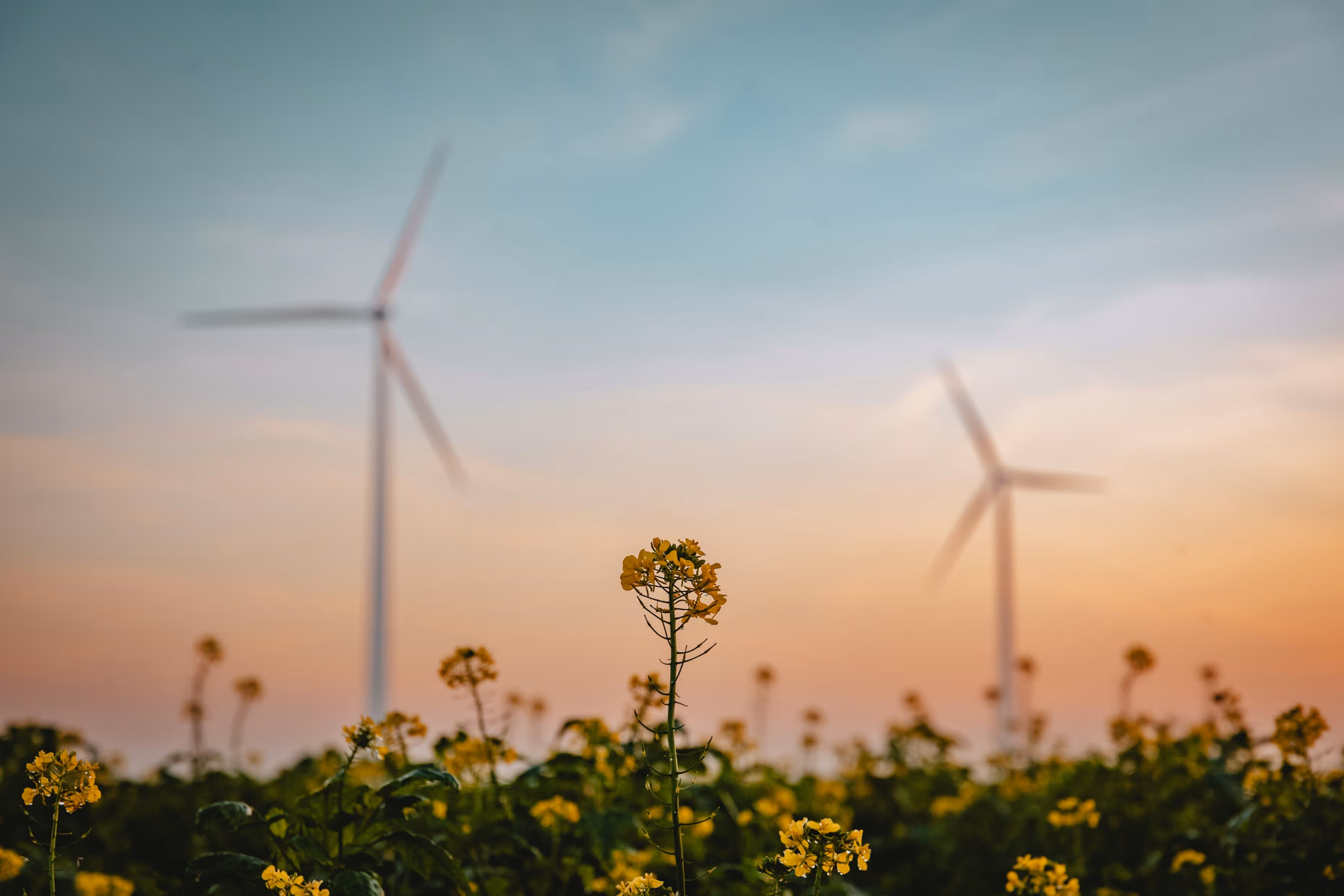 Renewable Energies