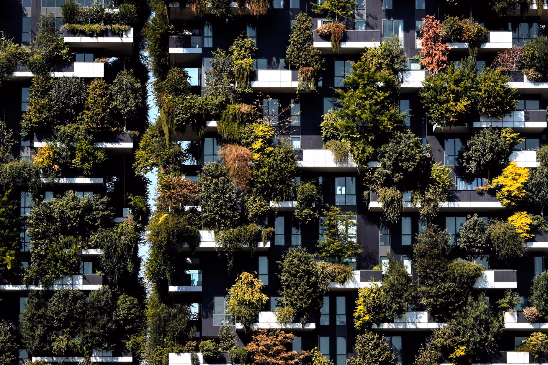 Circular Economy